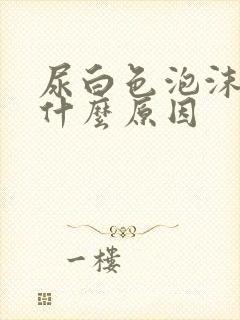 尿白色泡沫不散什么原因