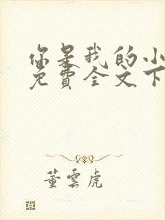 你是我的小确幸免费全文下载