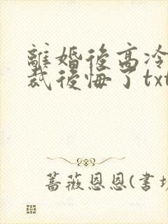 离婚后高冷女总裁后悔了txt