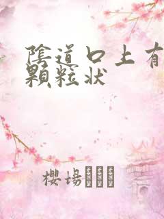 阴道口上有白色颗粒状