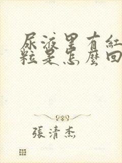 尿液里有红色颗粒是怎么回事