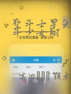 圣斗士星矢 圣斗少女翔：结局+番外