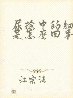 尿检中的细菌高是怎么回事