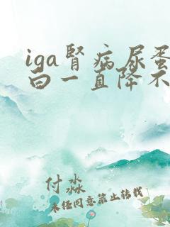 iga肾病尿蛋白一直降不下来怎么办