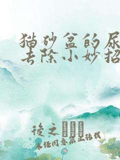 猫砂盆的尿骚味去除小妙招