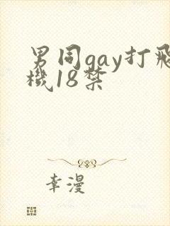 男同gay打飞机18禁