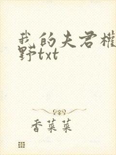 我的夫君权倾朝野txt