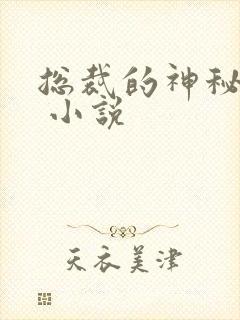 总裁的神秘甜妻 小说