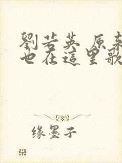 刘若英 原来你也在这里歌词