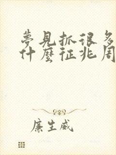 梦见抓很多鱼是什么征兆周公解梦