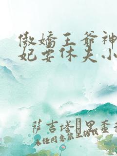 傲娇王爷神医王妃要休夫小说