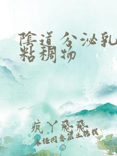 阴道分泌乳白色粘稠物