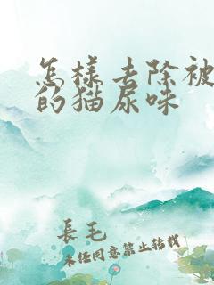 怎样去除被子上的猫尿味