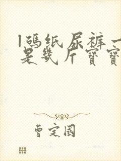 l码纸尿裤一般是几斤宝宝穿