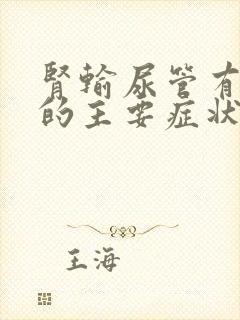 肾输尿管有结石的主要症状是