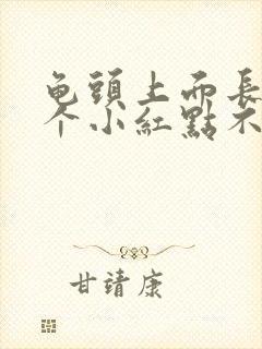 龟头上面长了一个小红点不痛不痒