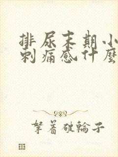 排尿末期小便有刺痛感什么原因引起的