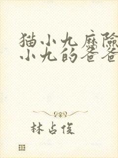 猫小九历险记猫小九的爸爸