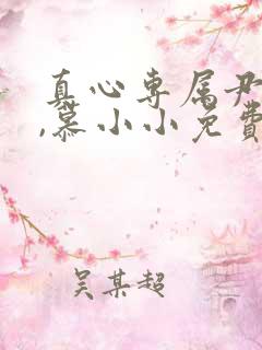 真心专属尹少桀,慕小小免费阅读