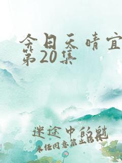 今日天晴宜爱你第20集