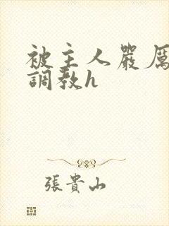 被主人严厉惩罚调教h