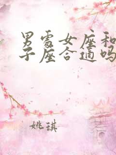 男处女座和女双子座合适吗