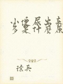 小便尿出来泡泡多是什么原因