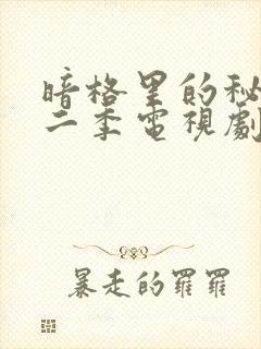 暗格里的秘密第二季电视剧免费观看