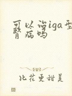 可以治iga型肾病吗