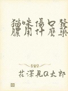 猫咪伤口发炎流脓用什么药效果好