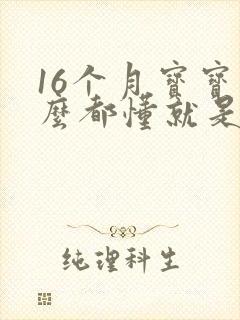 16个月宝宝什么都懂就是不说话