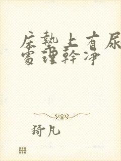 床垫上有尿怎么处理干净