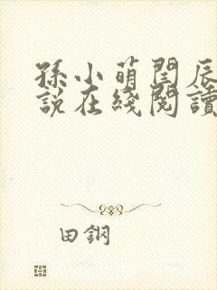 孙小萌闫辰的小说在线阅读全部章节下载