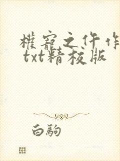 权宠之仵作医妃 txt精校版