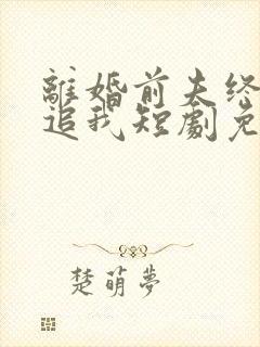 离婚前夫终是想追我短剧免费观看