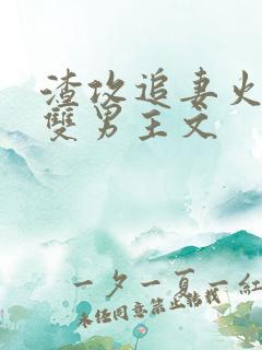 渣攻追妻火葬场双男主文