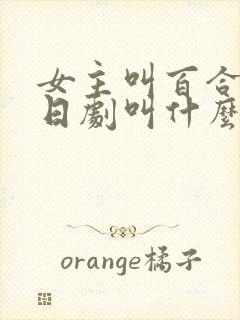 女主叫百合子的日剧叫什么