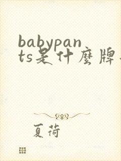 babypants是什么牌子纸尿裤