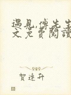 遇见,傅先生全文免费阅读