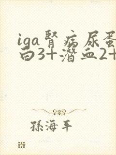 iga肾病尿蛋白3+潜血2+严重吗