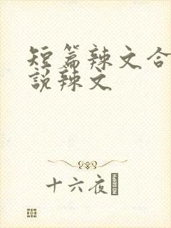 短篇辣文合集小说辣文