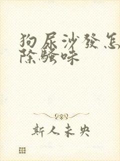 狗尿沙发怎么去除骚味