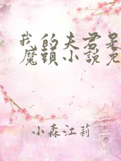 我的夫君是灭世魔头小说免费阅读