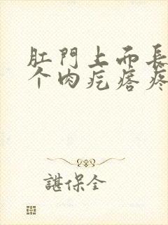 肛门上面长了一个肉疙瘩疼