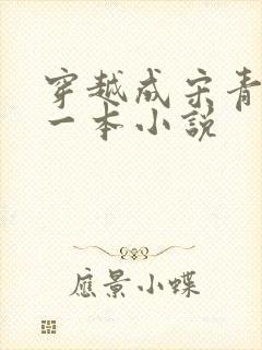 穿越成宋青书的一本小说