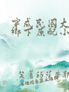 穿成民国大佬的乡下原配小说