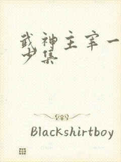 武神主宰一共多少集