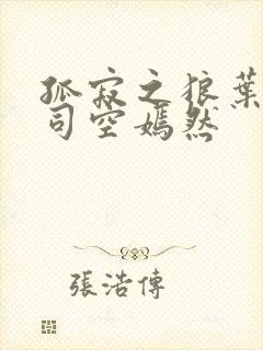 孤寂之狼叶凡与司空嫣然