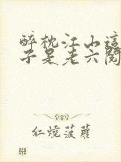 醉枕江山这个皇子是老六阅读