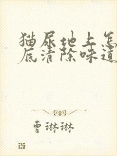 猫尿地上怎么彻底清除味道